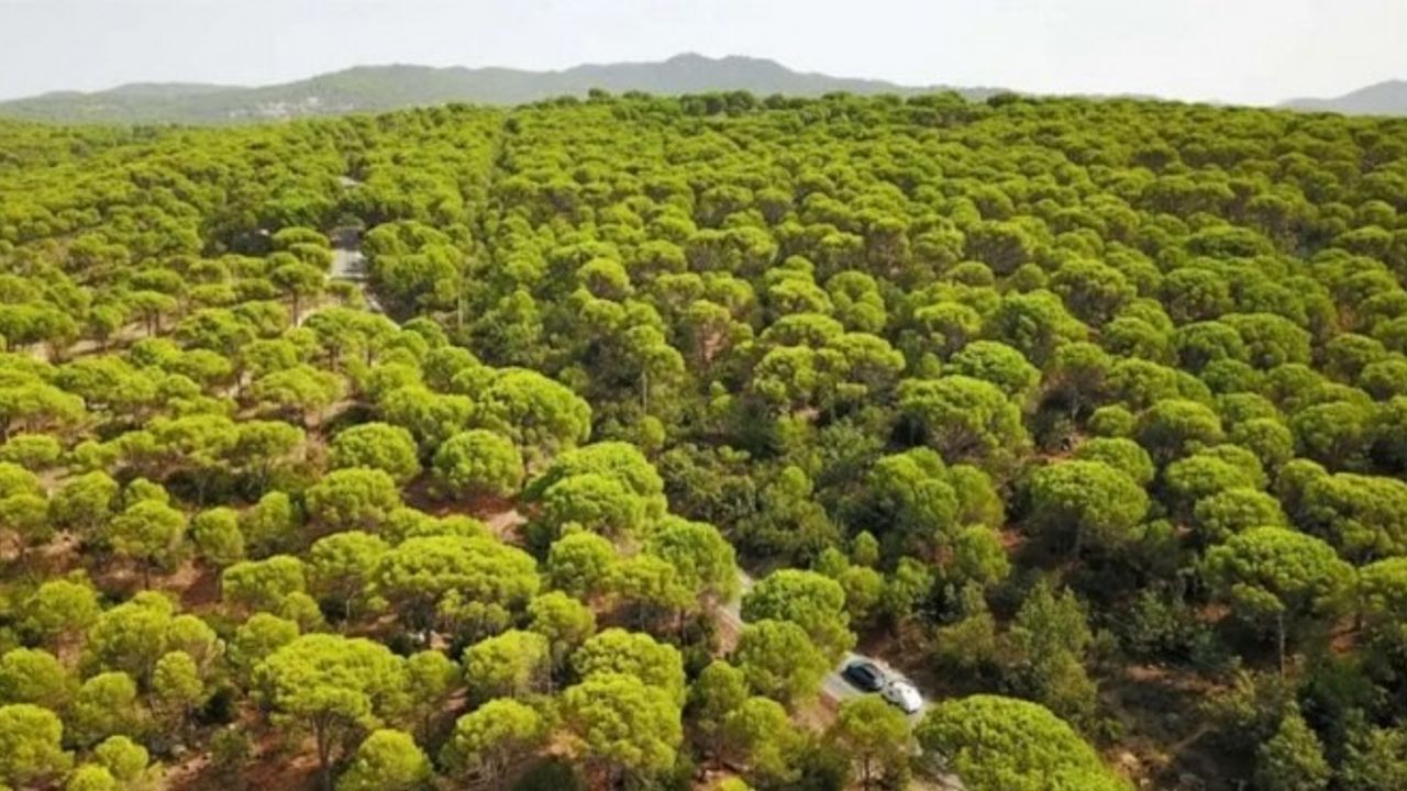 Kapasite 36 kat artacak... Kozak Yaylası'na bir hançer daha!