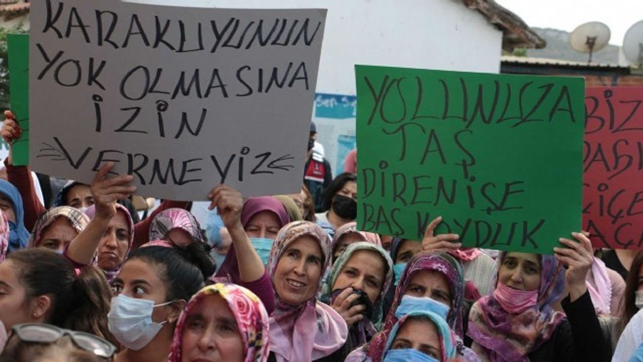 Köylülerden yeşil zafer... Bakanlık'tan çimento devine veto!