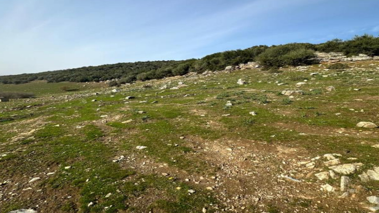 Ana Tanrıça’nın başı dertte!