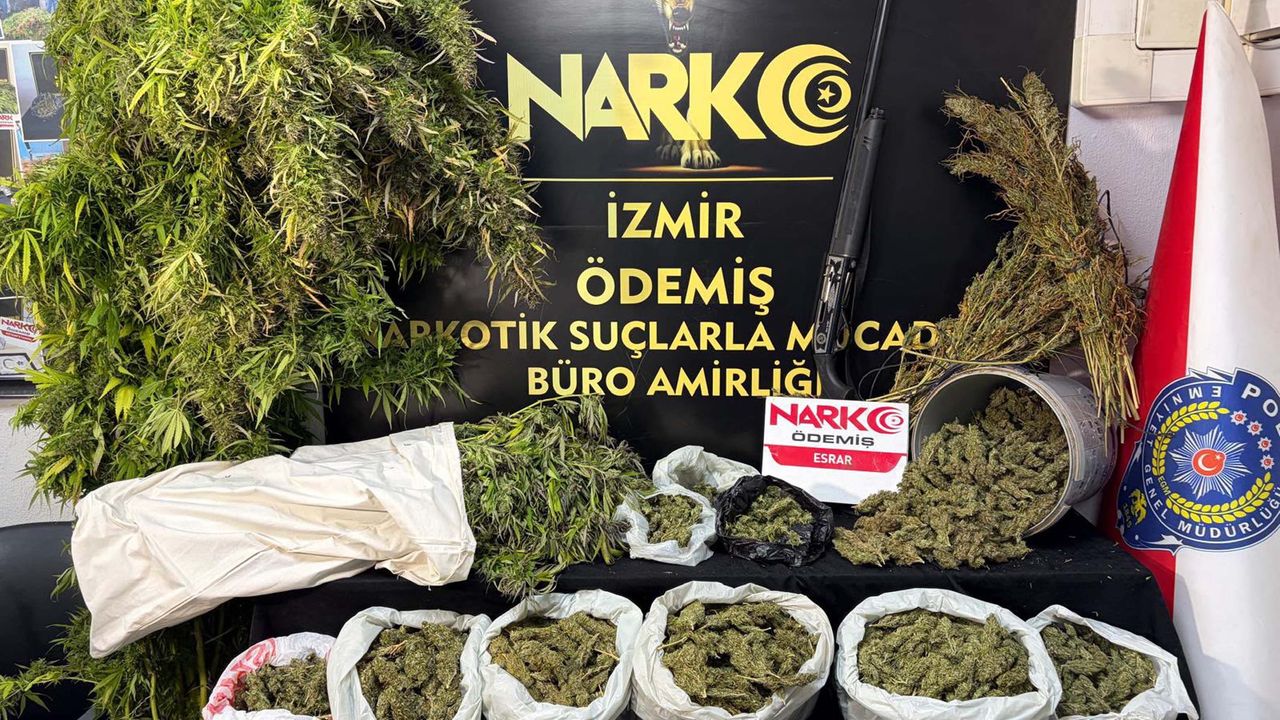 Ödemiş'te 7 kilo 671 gram esrar ele geçirildi