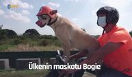Bogie, motor üstünde sahibiyle ülkenin dört bir yanını geziyor
