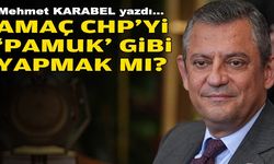 Mehmet KARABEL yazdı... Amaç CHP'yi 'pamuk' gibi yapmak mı?