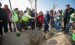 Tugay: İzmir'de umudu bu ağaçlar gibi yeşerteceğiz