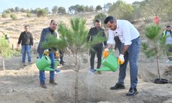 Başkan Yıldız kolları sıvadı... Çiğli'de fidanla toprakla buluştu!