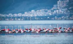 Yağmur geldi, körfez 'geçici' temizlendi!