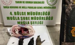 Muğla'da kaçak avcılara para cezası