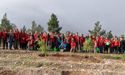 'Engelleri' aşan izcilerden fidan dikimi!