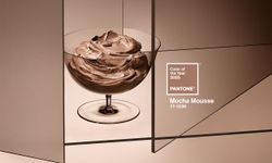 Pantone, 2025’in rengini açıkladı: Mocha Mousse