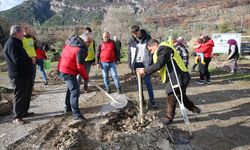 Orman yangınından etkilenen üreticilere zeytin fidanı dağıtıldı