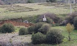 Sabancı kepçeyi vurdu... 2 bin ağaç kesilecek!