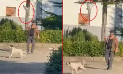 İnsan kılığındaki cani: Canlı güvercini köpeğine yem yaptı