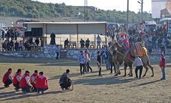 Muğla'da 24. Yatağan Deve Güreşi Festivali düzenlendi