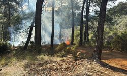 Muğla'da ormanlık alanda çıkan yangın söndürüldü