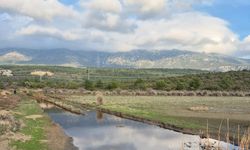 Karaburun planlarına 'İris' itirazı!