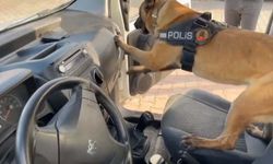 Araca gizlenmiş uyuşturucuyu narkotik köpeği buldu