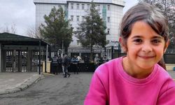 Narin cinayeti davasında yeni gelişme!