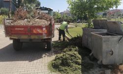 Güzelbahçe'de yaz hazırlıkları başladı!