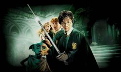 Harry Potter dizisinin oyuncuları belli oldu