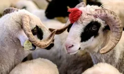Kurban Bayramı tatili için karar verildi!