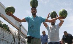 Hasat başladı: Tarlada kilosu belli oldu!