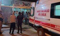 Evlat vahşeti... Babasını öldürdü anne ağır yaralı!