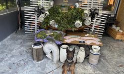 'Zehir' villasına baskın!
