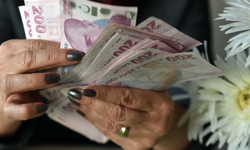 Bakan açıkladı... 3.3 milyar liralık destek bugün yatıyor