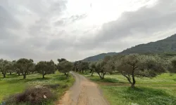 Kemalpaşa planlarına ŞPO’dan itiraz!