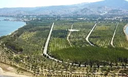 EXPO 2027 için karar: Yeşildere iptal, yeni yer belli oldu!