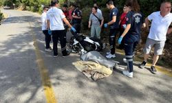 Bodrum'da feci kaza: 1 ölü, 1 ağır yaralı!