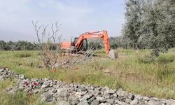 Mahkemeden dönmüştü… Zeytinliklere JES ısrarı!