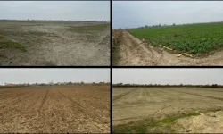 Proje bakanlık masasında... Üzümün başkentinde JES ısrarı!