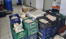 İzmir'de 1,5 ton bozuk peynir ele geçirildi