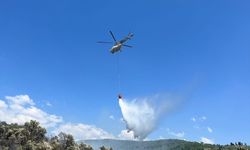 Muğla'da makilik ve zeytinlik alanda çıkan yangın söndürüldü