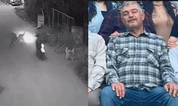 Köpeğe çarpan sürücü yaşam savaşını kaybetti!