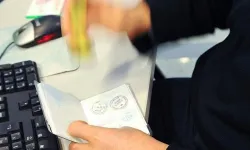 ABD vize vermedi, milli takım kampı iptal oldu!