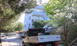 Karabağlar’da haşerelere karşı mücadele