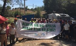 Ege Kent Konseyleri Birliği'nden 'zeytin yasası'na tepki!