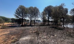 Bergama'da yangın kontrol altında: 16 hektarlık alan kül oldu!