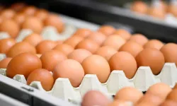 Resmi Gazete'de yayımlandı... Yumurta satışında yeni dönem!