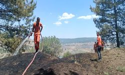 Kütahya’daki orman yangını, erken müdahaleyle söndürüldü