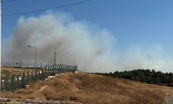 Urla'da yangın: Enerjisi düşürüldü!