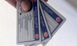 Eski tip ehliyetler 1 Ağustos'ta geçerliliğini yitirecek