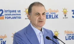 Çelik: Silah bırakma kesintisiz sürmeli!