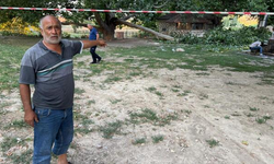 Piknikte dehşet: Dev ağaç dalı 11 kişiyi hastanelik etti!