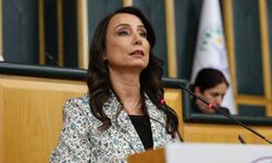 DEM Partili Hatimoğulları: Üçlü bir ittifak kesinlikle yoktur