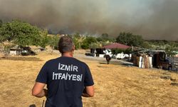 Aliağa'da korkutan yangın... Hayvanlar tahliye edildi!