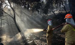 Muğla'da ormanlık alanda çıkan yangın söndürüldü