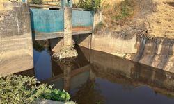 Manisa Büyükşehir, doğa için nöbette