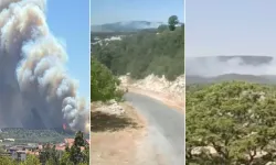 Bolu, Çanakkale ve Mersin'de orman yangını!